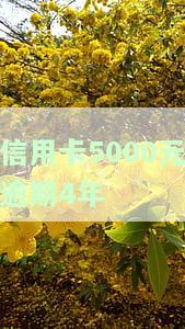 信用卡5000元逾期4年-信用卡5000逾期四年应还多少