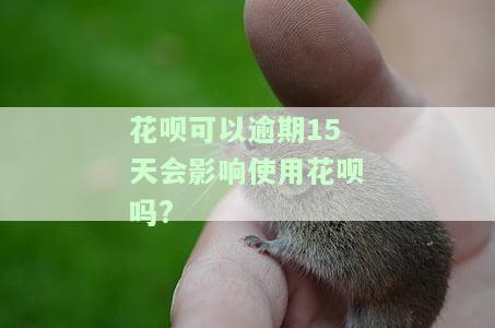 花呗可以逾期15天会影响使用花呗吗，逾期15天对花呗使用有影响吗？