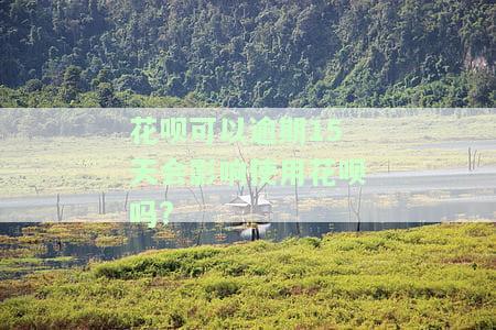 花呗可以逾期15天会影响使用花呗吗?
