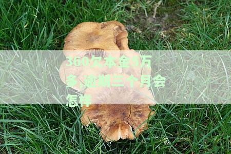 360欠款本金5万多现在逾期7天什么时候能起诉，360欠款逾期7天，本金达5万，何时可能被起诉？