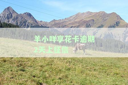 羊小咩享花卡逾期2天上征信
