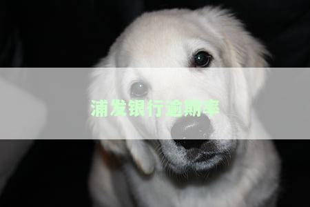 浦发银行贷款逾期会影响信用吗？逾期几小时、四个月会有什么后果？已结清能否再申请？