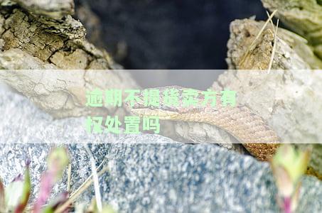 逾期不提货卖方有权处置吗-逾期不提货卖方有权处置吗为什么