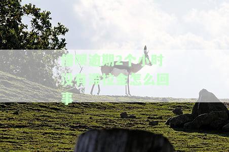 借呗逾期2小时无滞纳金，已还款为何未显示？后果是什么？有奖问答！
