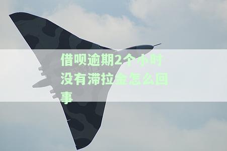 为什么借呗逾期了两个小时今天全部还了然后没显示出来？