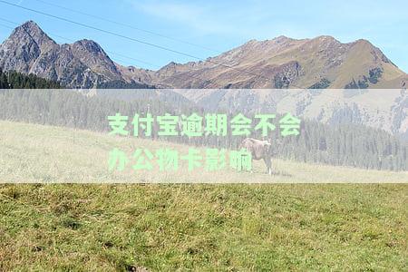 支付宝逾期会不会办公物卡影响-支付宝逾期影响办借记卡吗