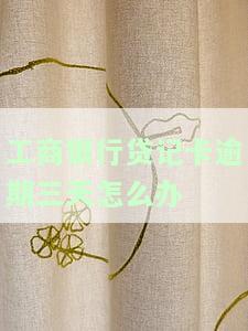 工商银行贷记卡逾期五天怎么办？逾期两天要紧吗？会不会报警？逾期一天有不良记录吗？逾期四天和五天有何影响？