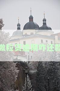 微粒贷逾期还款到深圳前海微众银行：真实情况及解决办法