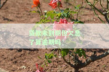 贷款未到期但欠息了算逾期吗？怎么办理、怎么解决、能否起诉？本金与利息的关系、是否可以提前还款、逾期利息如何计算？全在这！