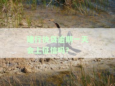 建行快贷逾期一天会否影响征信？如何解决？逾期后果及额度恢复时间