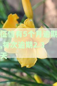 征信有5个月逾期,每次逾期2.3天会怎样，征信5个月逾期，每次逾期2.3天的影响是什么？