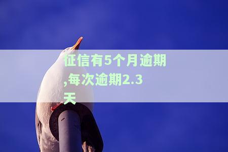 征信有5个月逾期,每次逾期2.3天-征信有5个月逾期,每次逾期2.3天怎么办