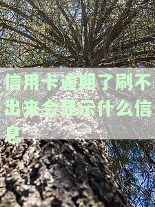 我信用卡逾期无法使用了，该如何处理？
