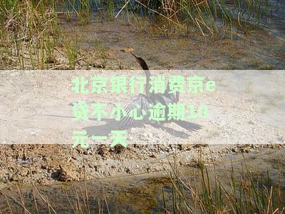 北京银行京e贷对征信要求，深入了解北京银行京e贷：对征信的严格要求解析