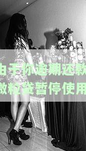 如何解决因逾期还款导致微粒贷暂停使用的问题？