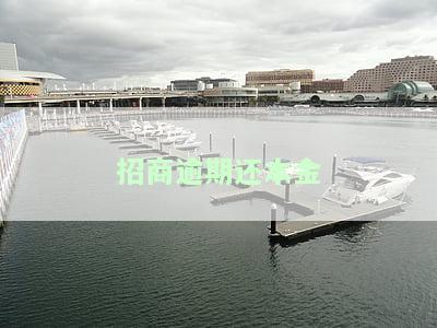招商逾期本金打折扣是真的吗？如何协商还款与违约金？