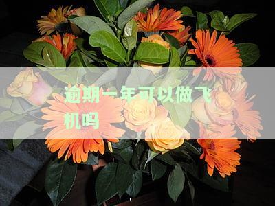 逾期一年能否申请信用卡、银行卡及贷款？协商分期可行吗？