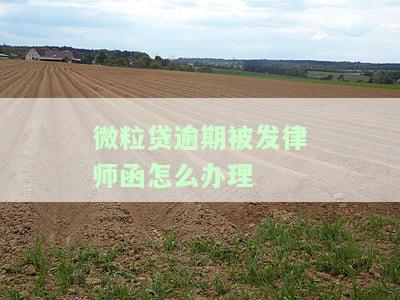 微粒贷逾期80天给我发了律师函会被起诉吗，逾期80天，微粒贷发出律师函是否代表将被起诉？