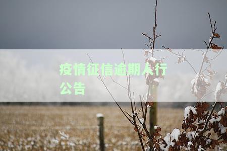 疫情征信逾期人行公告查询方法及政策解读
