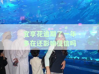 宜享花逾期一天就上征信吗，【解答】宜享花逾期一天是否会上征信？