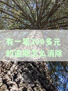 有一笔200多元的逾期怎么消除欠款记录，如何消除200多元逾期的欠款记录？
