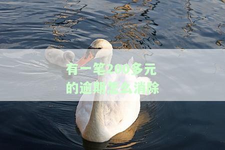 1笔逾期怎么办？影响、处理及应对措全解析
