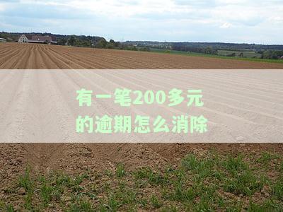 有一笔200多元的逾期怎么消除-有一笔200多元的逾期怎么消除逾期记录