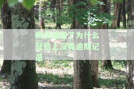 网贷逾期征信上怎么没有，网贷逾期后，为什么征信报告上没有记录？