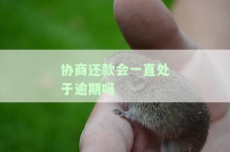 协商还款还有宽限期吗，协商还款：是否存在宽限期？
