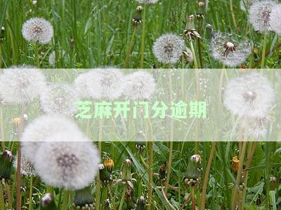 芝麻逾期如何快速修复？影响及次数解析