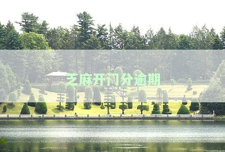 芝麻逾期如何消除？详解逾期记录处理、支付方式及违约后果