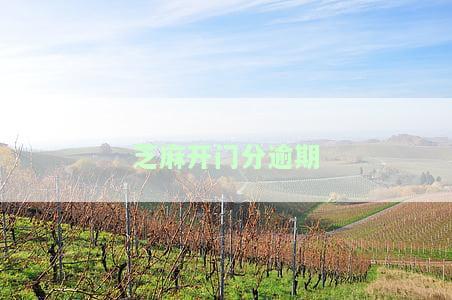 芝麻逾期怎么修复，如何修复芝麻逾期？一份详细的解决方案