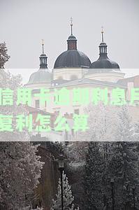 信用卡逾期利息月复利怎么算-信用卡逾期利息月复利怎么算的