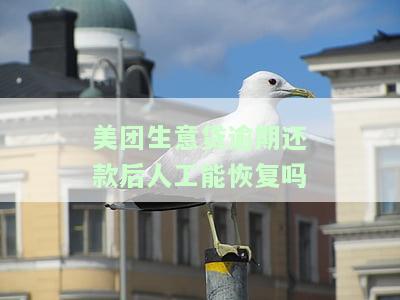 美团生意贷逾期还款后人工能恢复吗，美团生意贷：逾期还款后，能否通过人工恢复？