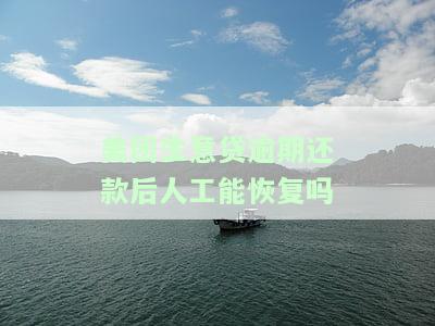 美团生意贷逾期过还清了还能再贷出来吗，美团生意贷：逾期还款后是否能再次申请贷款？