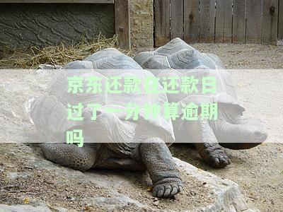 京东还款晚一天还款是否影响贷款？逾期有何后果？