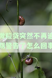 微粒贷突然停止逾期警告，原因及解决方法全解析