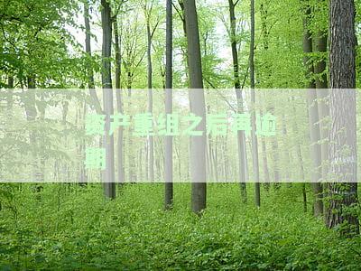 资产重组上会，企业重大决策：资产重组申请已获上会通过