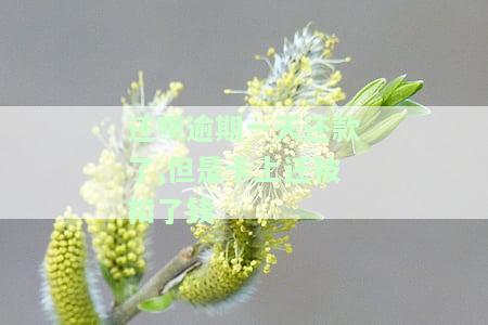 还呗逾期一天是不是以后都不能用了，逾期一天还款后，还呗还能继续使用吗？