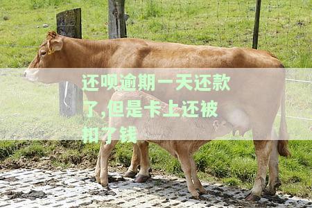 还呗逾期一天还款了,但是卡上还被扣了钱