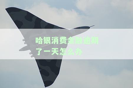 哈银消费金融逾期多久上征信？逾期后果严重，可能面临上门催收！