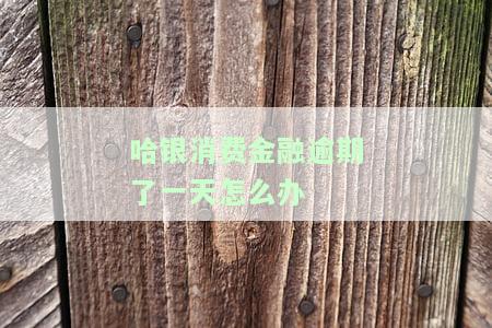 哈银消费金融逾期了一天怎么办
