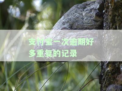 支付宝有一次逾期：多久能恢复信用？对买房、车贷、房贷有影响吗？逾期一天会否影响征信？能否申请阳光E贷？安全吗？