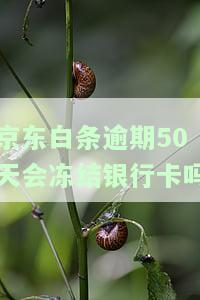 逾期50天会冻结银行卡吗-逾期50天会冻结银行卡吗安全吗