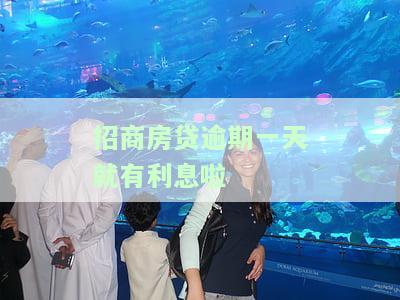 招商银行房贷逾期一天会上征信报告吗，房贷逾期一天会否影响信用记录？——探讨招商银行的信贷政策