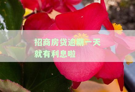 招商房贷逾期多久会起诉？影响征信吗？能否协商不起诉？