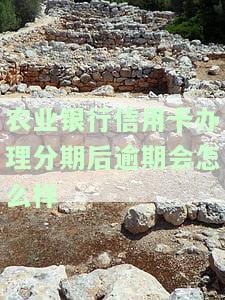 农业银行信用卡分期手续费计算及退款政策全解析