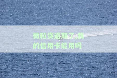 微粒贷逾期信用卡会停么，你的信用卡可能会被停止使用：了解微粒贷逾期的影响