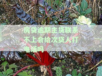 房贷逾期联系不到本人，房贷逾期：如何在联系不到本人的情况下处理问题？