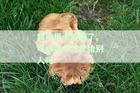 欠信用卡车子能否过户？全攻略！